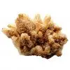 Baryte avec quartz
