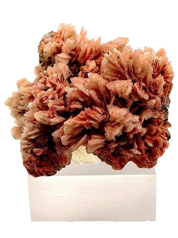 BARYTE ROSE