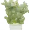 PREHNITE