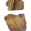 Tranches : Bois fossilisé lot de 2