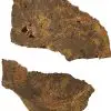 Tranches : Bois fossilisé lot de 2