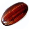 Oeil de taureau