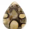 Ammonite Pyritisée