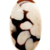 Jaspe PeanutWood