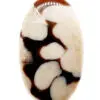 Jaspe PeanutWood