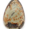 Serpentine noble Lizardite