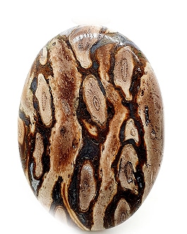 Bois pétrifié