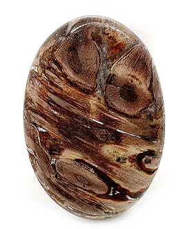 Bois Pétrifié