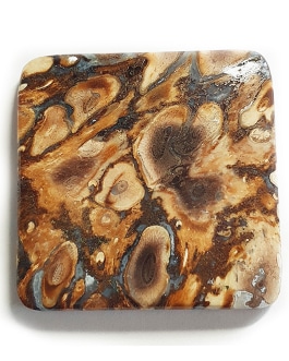bois fossile