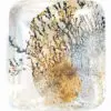 Quartz Dendritique
