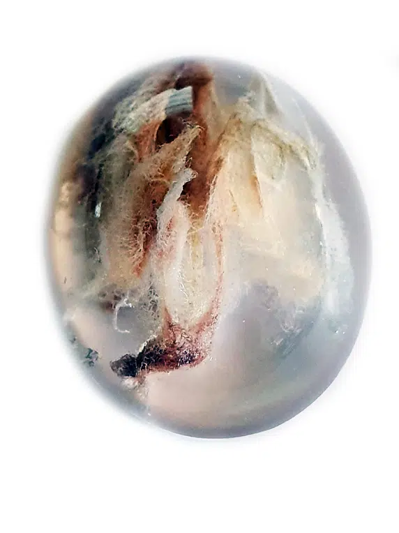 quartz à AMIANTE ou ASBESTE