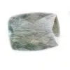 Apatite à Actinolite