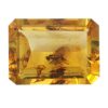 Ambre à inclusions de 2 moucherons