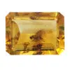 Ambre à inclusions de 2 moucherons