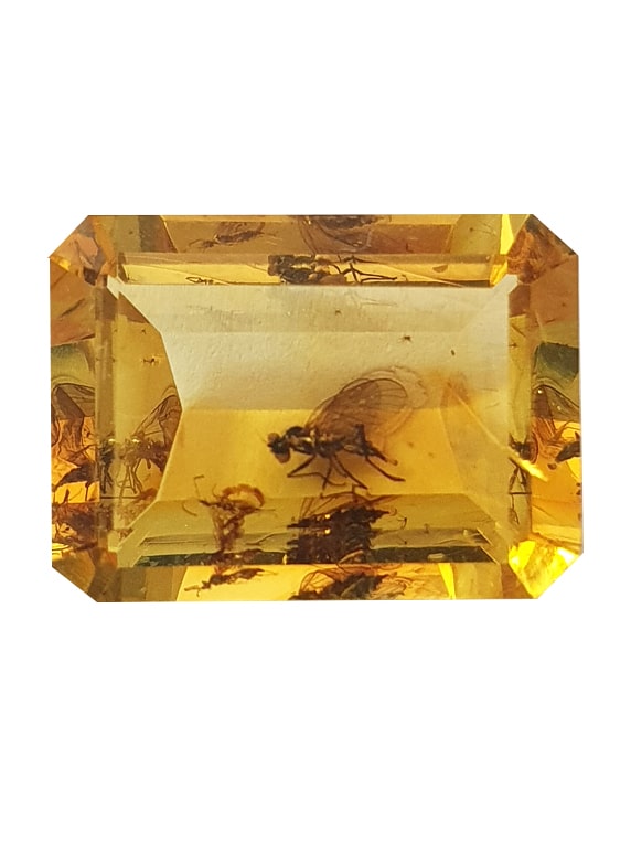Ambre à inclusions de 2 moucherons