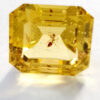 Ambre avec inclusion de fourmis