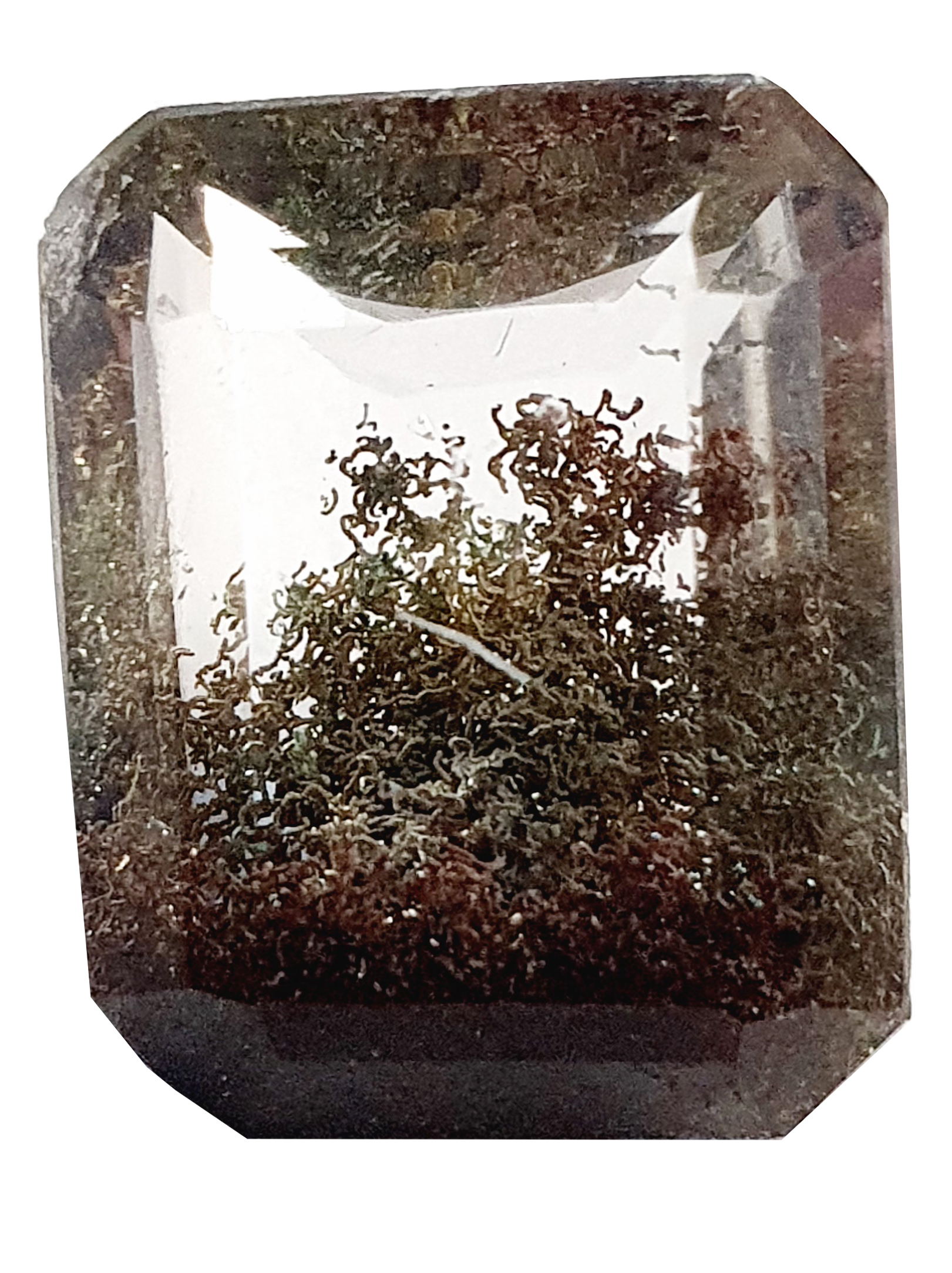 Quartz à Ripidolite :Chlorite