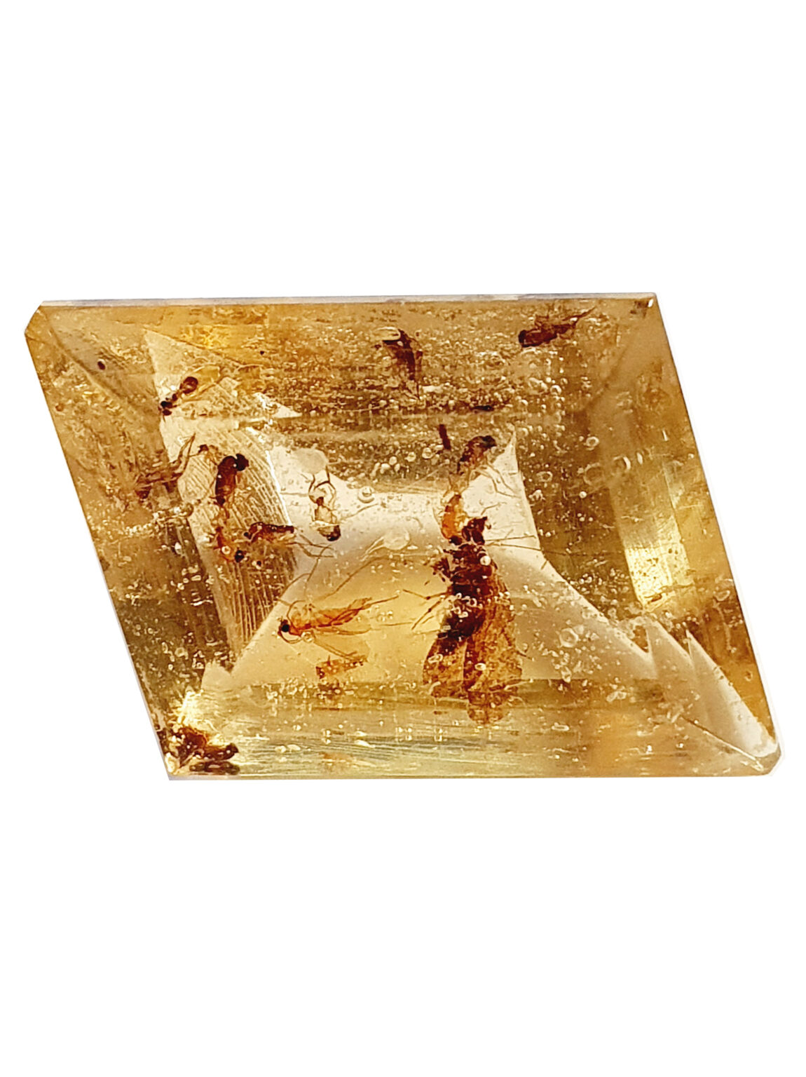 copal à inclusion