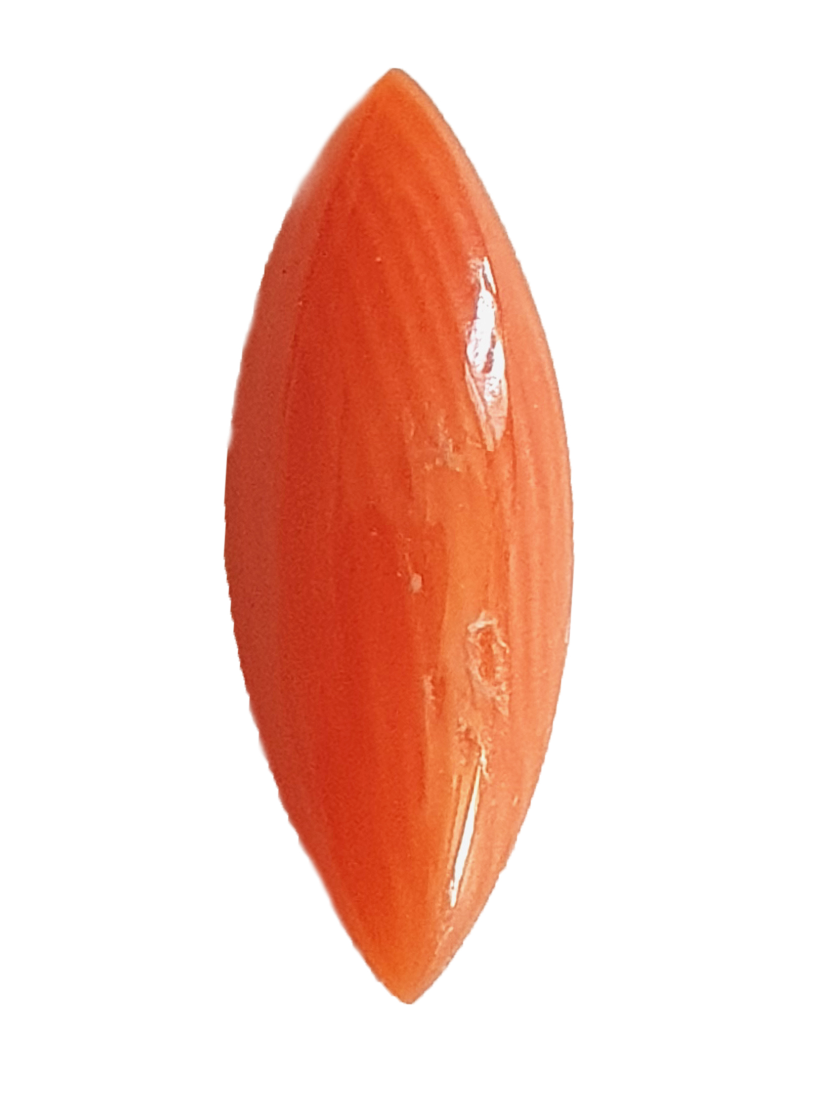Corail