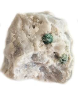 Varisicte