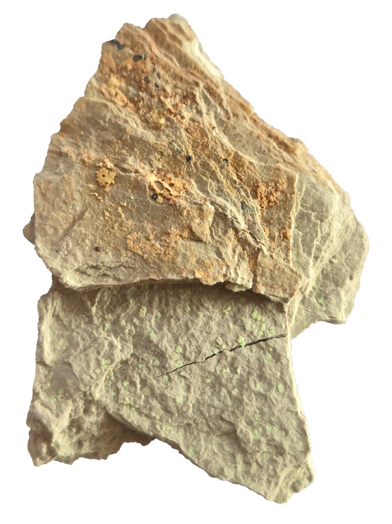 Abernathyite et Heinrichite : deux rares minéraux uranifères de collection