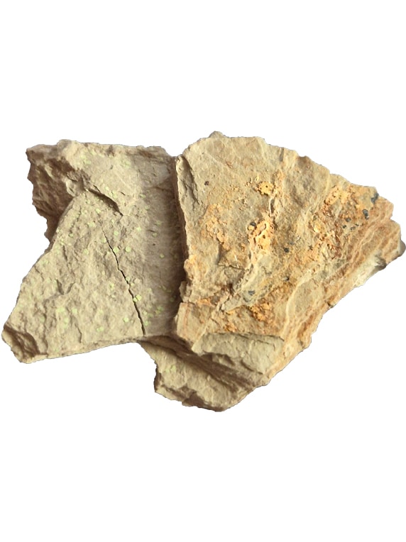 Abernathyite et Heinrichite : deux rares minéraux uranifères de collection