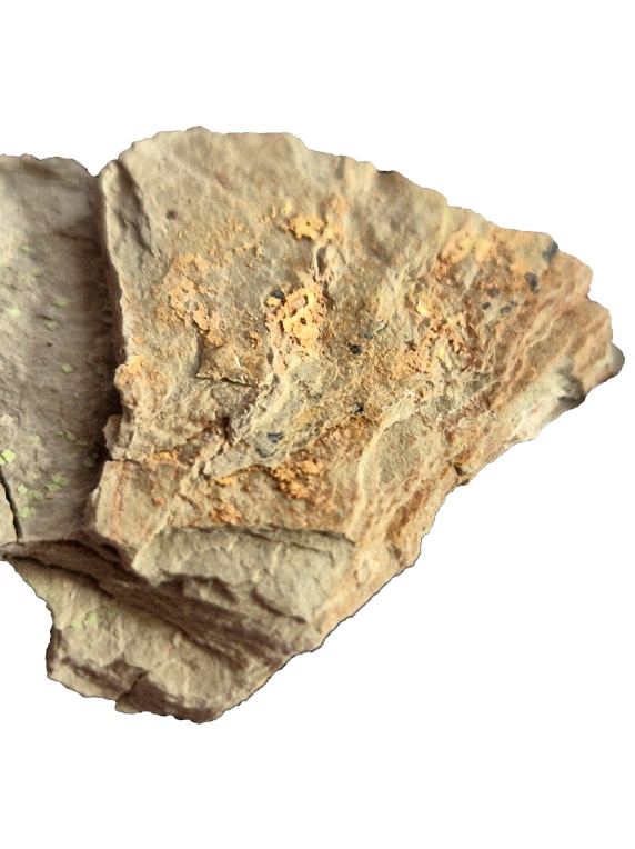 Abernathyite et Heinrichite : deux rares minéraux uranifères de collection