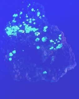 Torbernite- Autunite: France