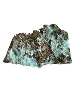 Aurichalcite sur gangue : Congo