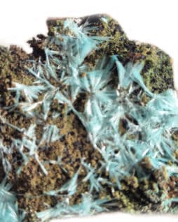 Aurichalcite sur gangue : Congo