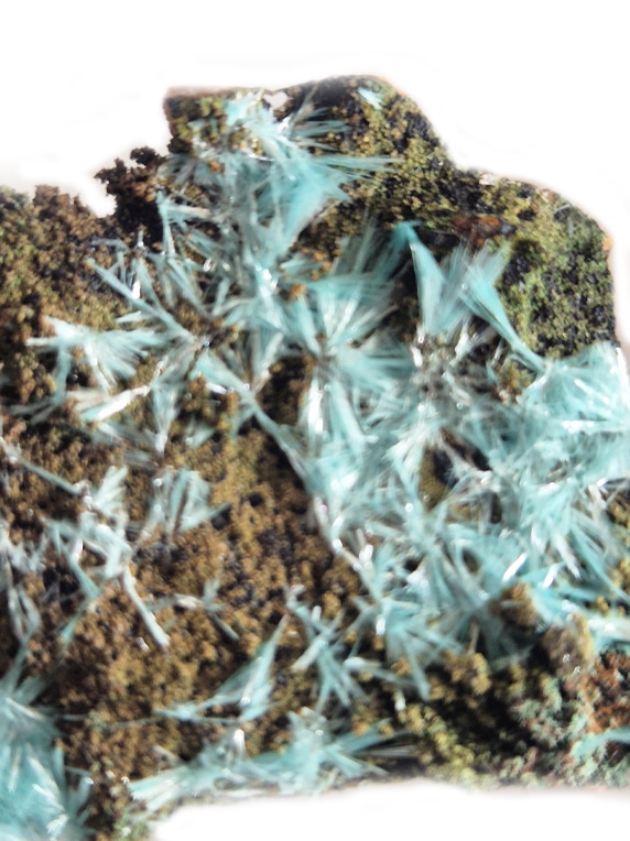 Découvrez cette élégante aurichalcite sur gangue, un minéral rare apprécié pour ses délicats cristaux fibreux aux nuances bleu