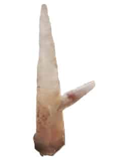 Quartz à oxyde de fer : Madagascar