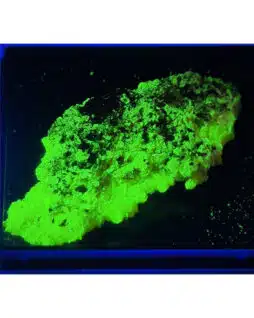 Autunite: France