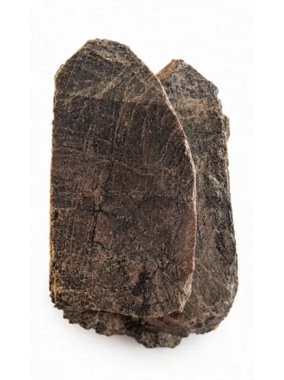 Un zircon de caractère, pour une collection qui sort de l’ordinaire.