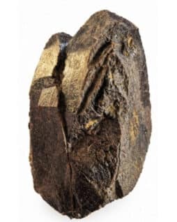 Un zircon de caractère, pour une collection qui sort de l’ordinaire.
