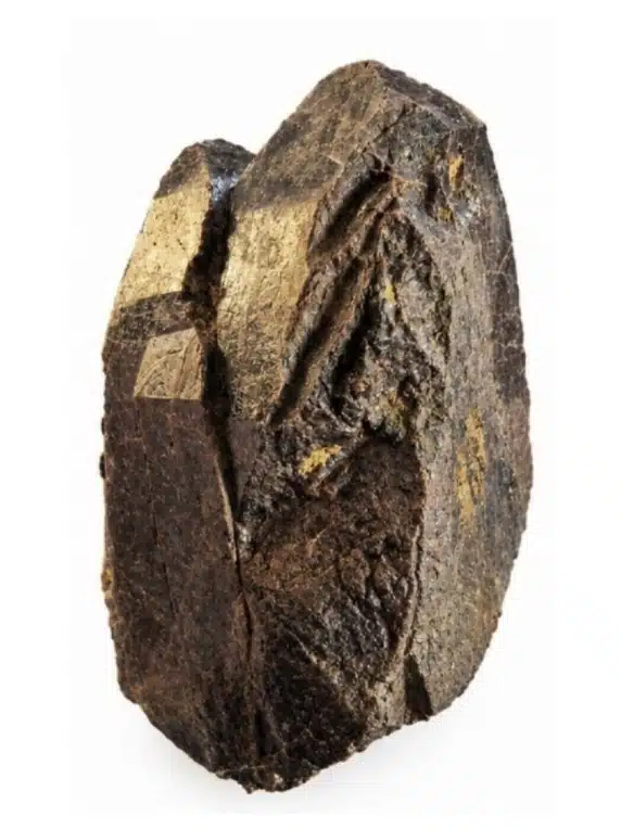 Un zircon de caractère, pour une collection qui sort de l’ordinaire.